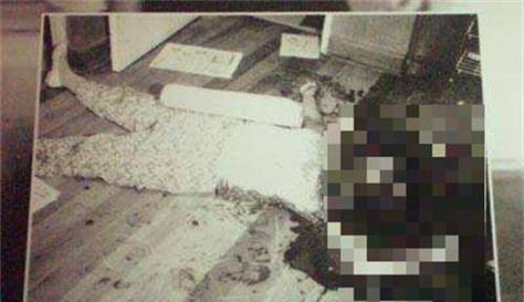 关于90年代上海吸血鬼事件的信息  第2张