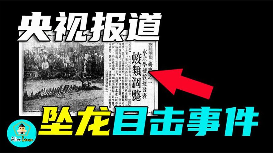 真实奇闻异事，真实奇闻异事录  第4张