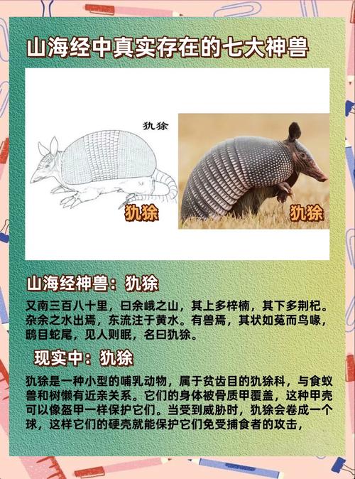 山海经被证实的生物，山海经已经证实的动物  第5张