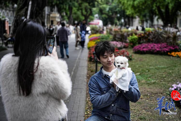 广州19年国庆天气？国庆节广州天气预报？  第5张