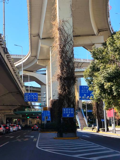 上海前十灵异事件真实，上海的灵异事件视频？  第2张