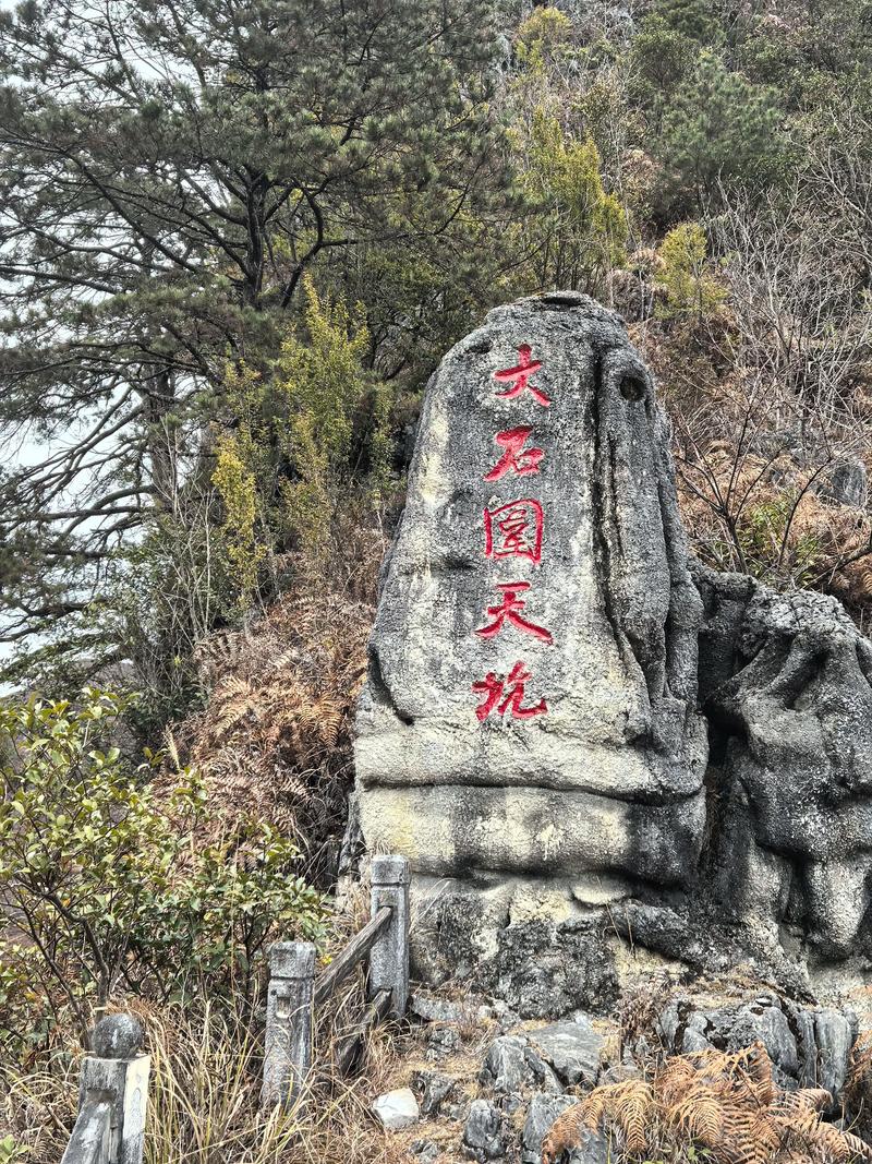 广西百色蟒蛇事件？广西百色蛇多不多？  第6张