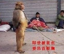 非洲象人族的真实生活？非洲象人族的存在是真的吗？  第1张