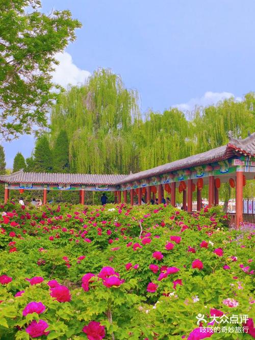 柏乡30天天气预报，柏乡天气预报逐时  第1张