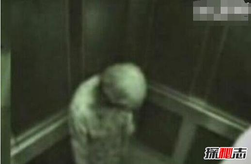 1990上海吸血鬼事件的简单介绍  第3张