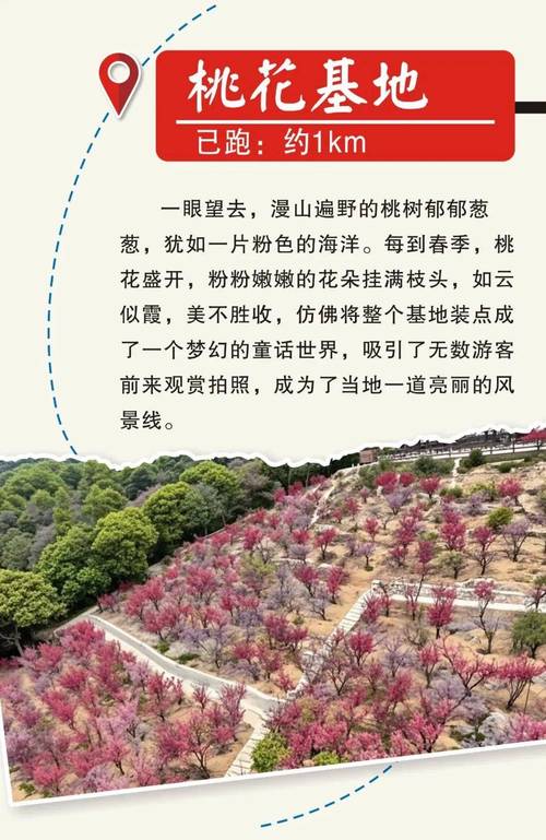 今天乐清市天气预报，今天乐清市天气预报几点下雨？  第4张