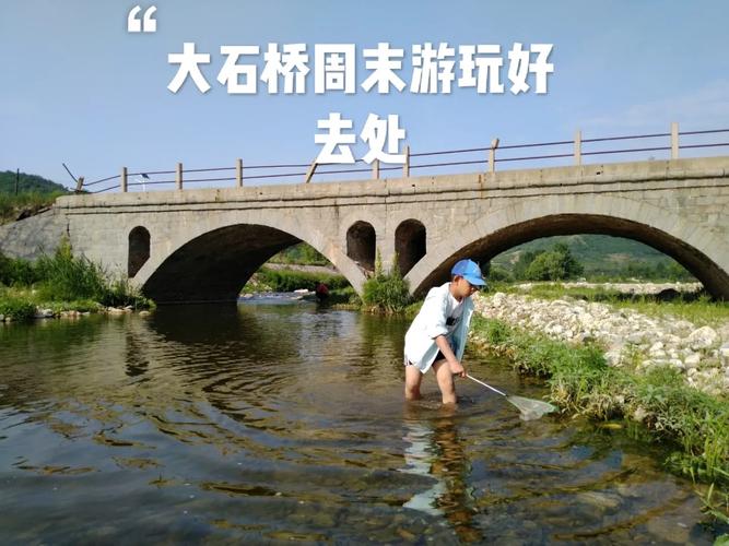 大石桥周家天气预报，大石桥周家天气预报24小时？  第4张