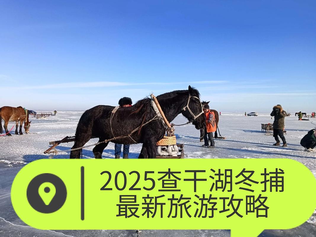 扶余天气预报40天？扶余天气查询？  第4张