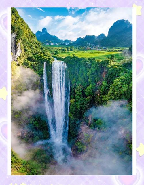 象族自然写真，象族的照片  第2张