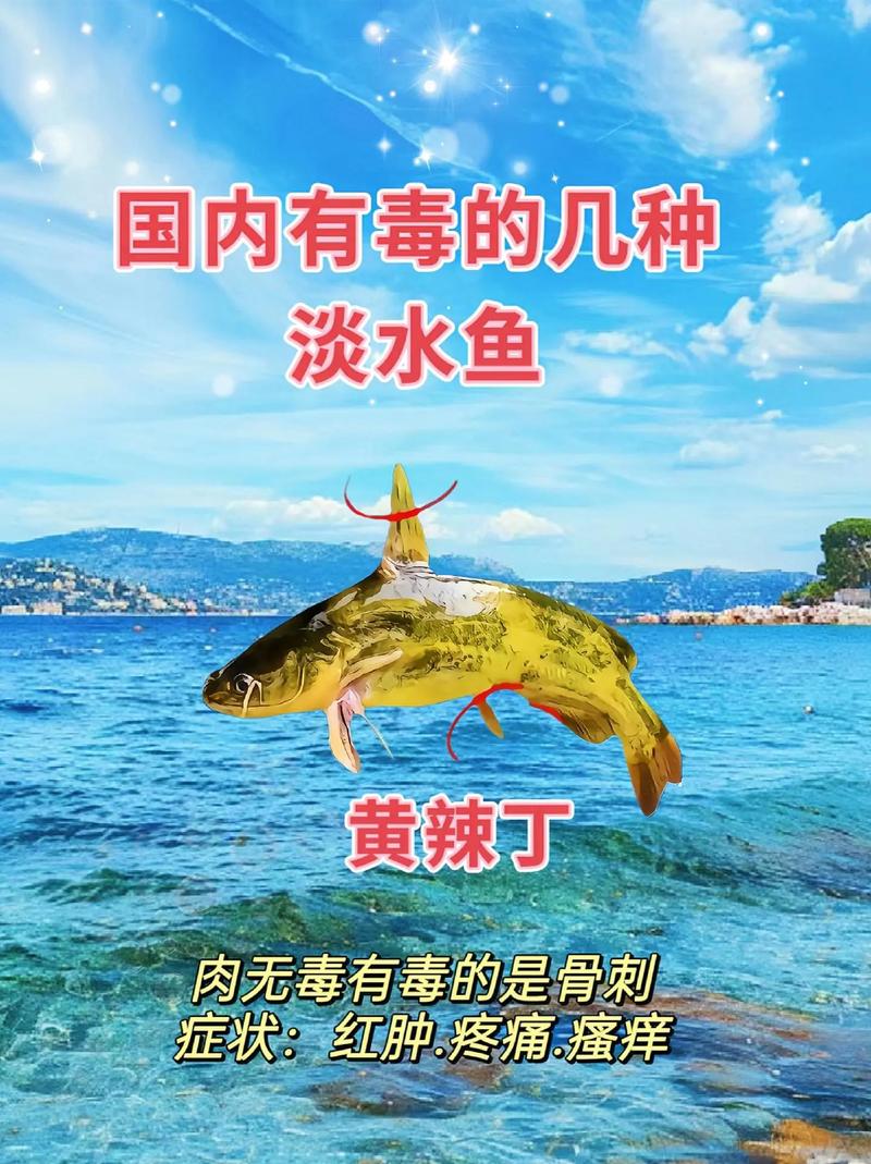 世界上最毒的鱼，全世界最毒的鱼  第5张