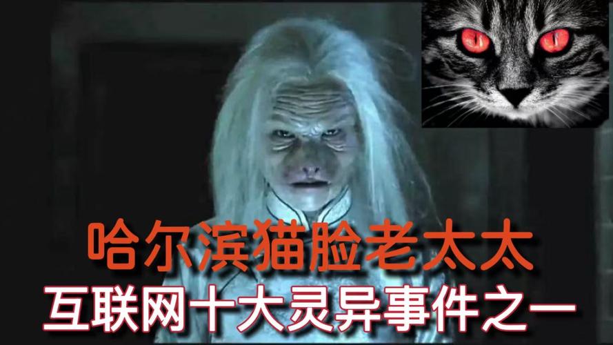 猫脸老太太是否真的存在，猫脸老太太真的存在吗？  第1张