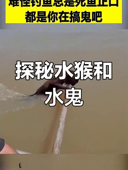 水獭水鬼在水里拉人图片？水獭 水鬼 水怪 水猴子？  第6张