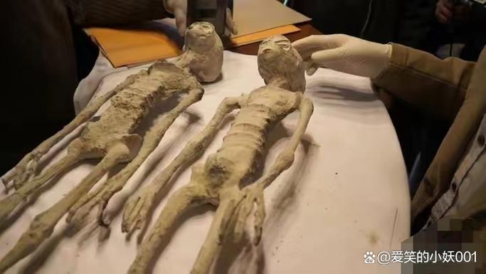 中国有外星人吗，我国有外星人吗  第3张