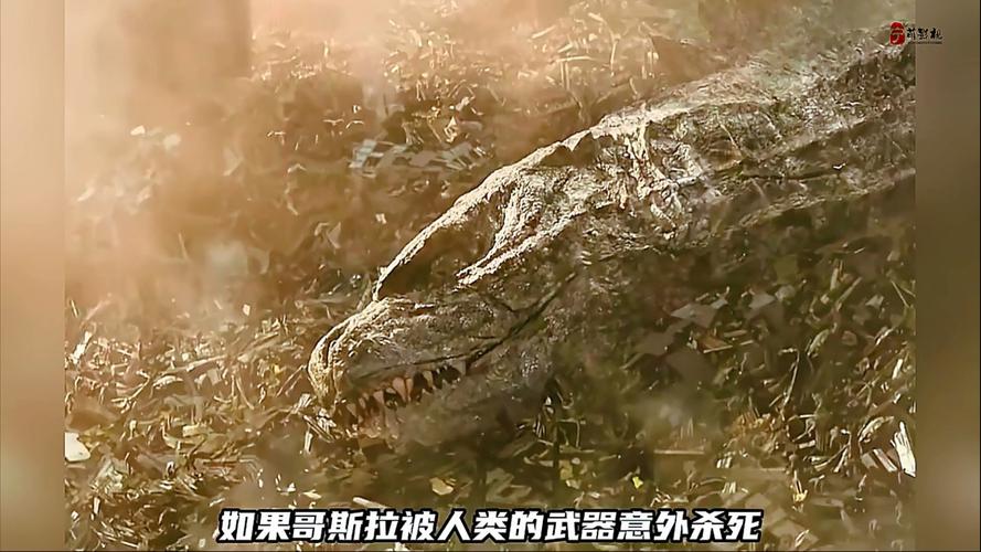 挖掘机挖出16米大蟒蛇，挖掘机挖出16米大蟒蛇视频？  第4张