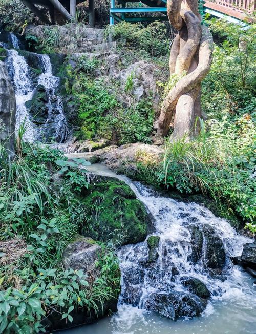 河南井冈台漂流天气，井冈山天气预报7天气  第1张
