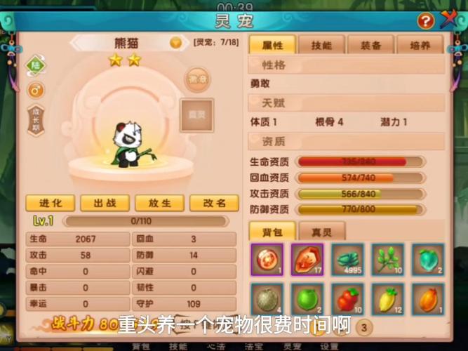 造梦西游5灵宠在哪里抓