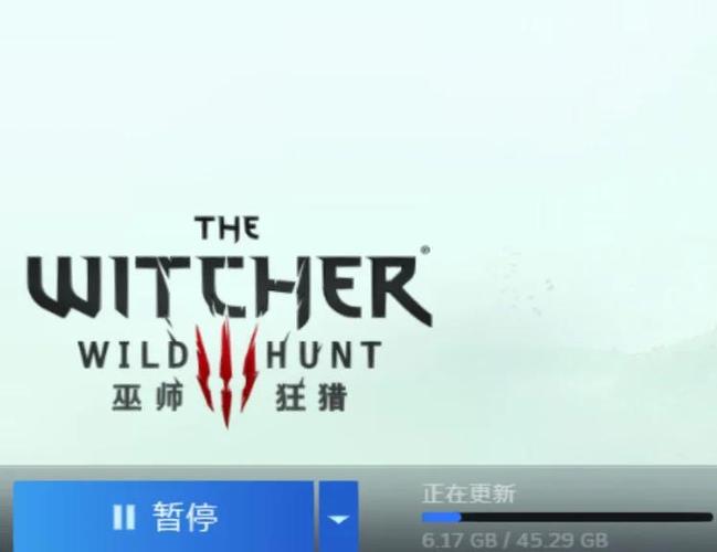 巫师3老鼠之塔完美结局对话选择