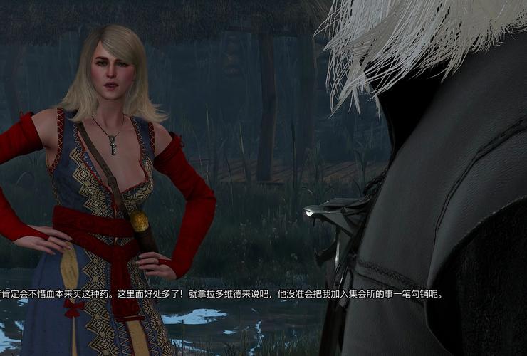 巫师3血与酒完美结局对话选项