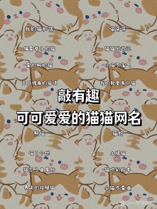 猫咪永久地域网名2021知乎,关于猫咪的网名