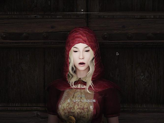 “上古卷轴5”吸血鬼技能的熟练度代码和技能点是什么?