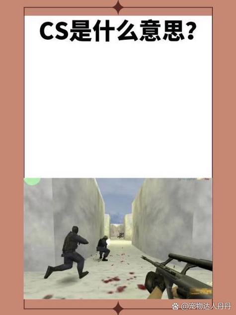 浙江苍南玉苍山有真人CS吗?如果有请问门票是多少?好玩不好玩?(详细...