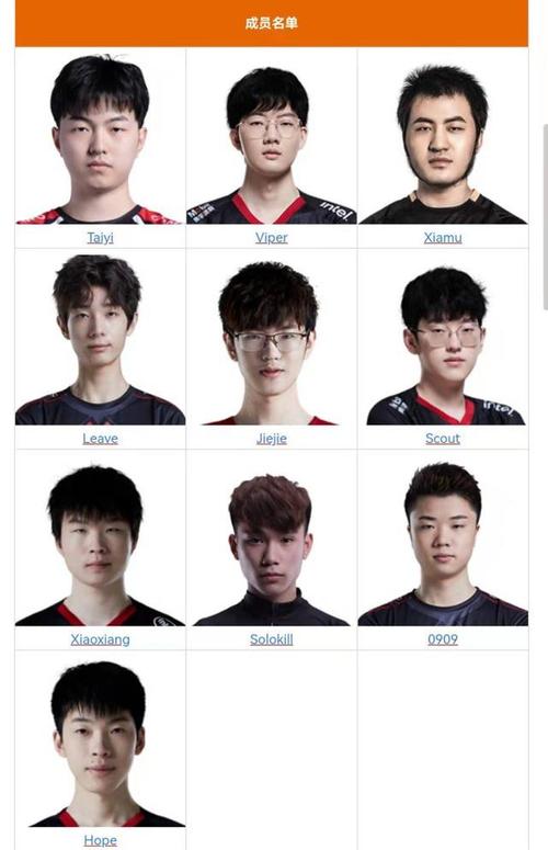 LOL职业联赛历届冠军战队成员都有哪些?求详细介绍