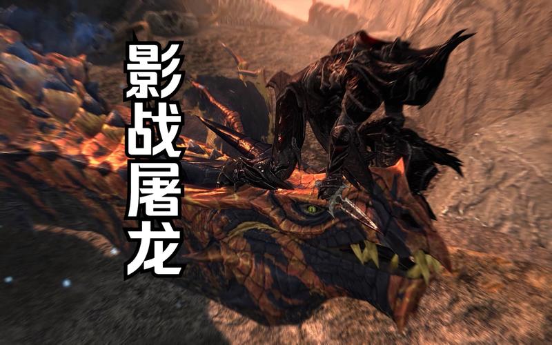 上古卷轴5,影子战士的具体加点方法和顺序,先学什么技能后学什么技能...